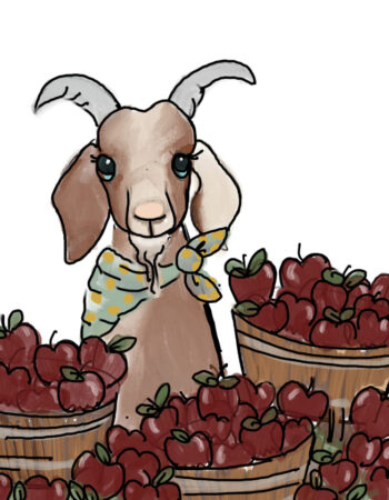 Goat and Apples