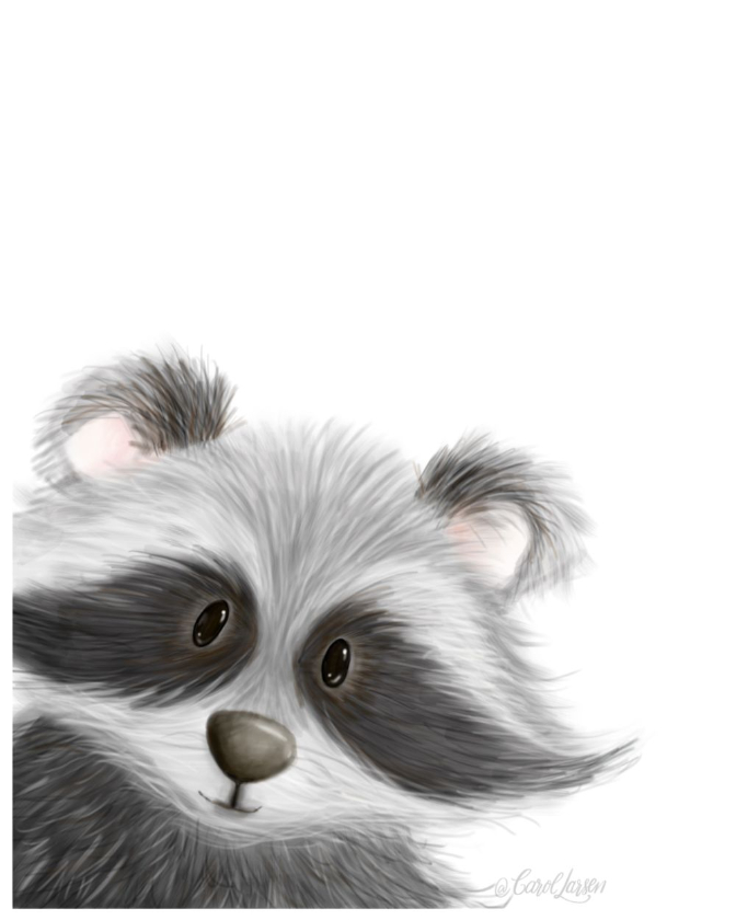 Name-Raccoon on White Background_Tag-Animals_Collection-All Seasons.