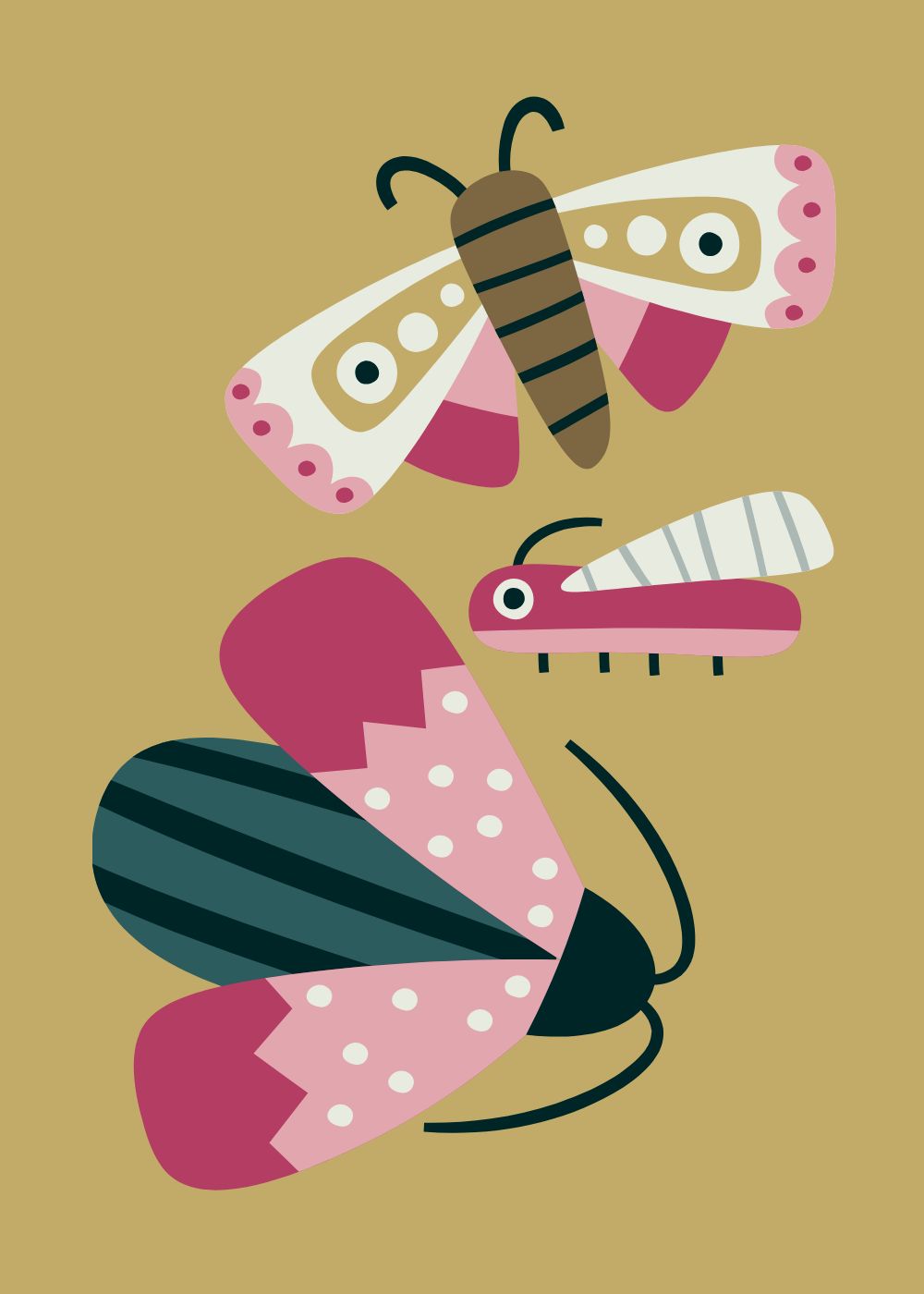 Blossoms and Bugs 11