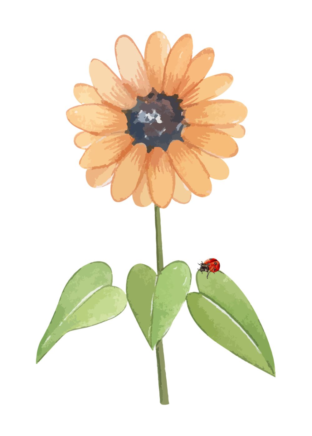Sending Sunflowers 11