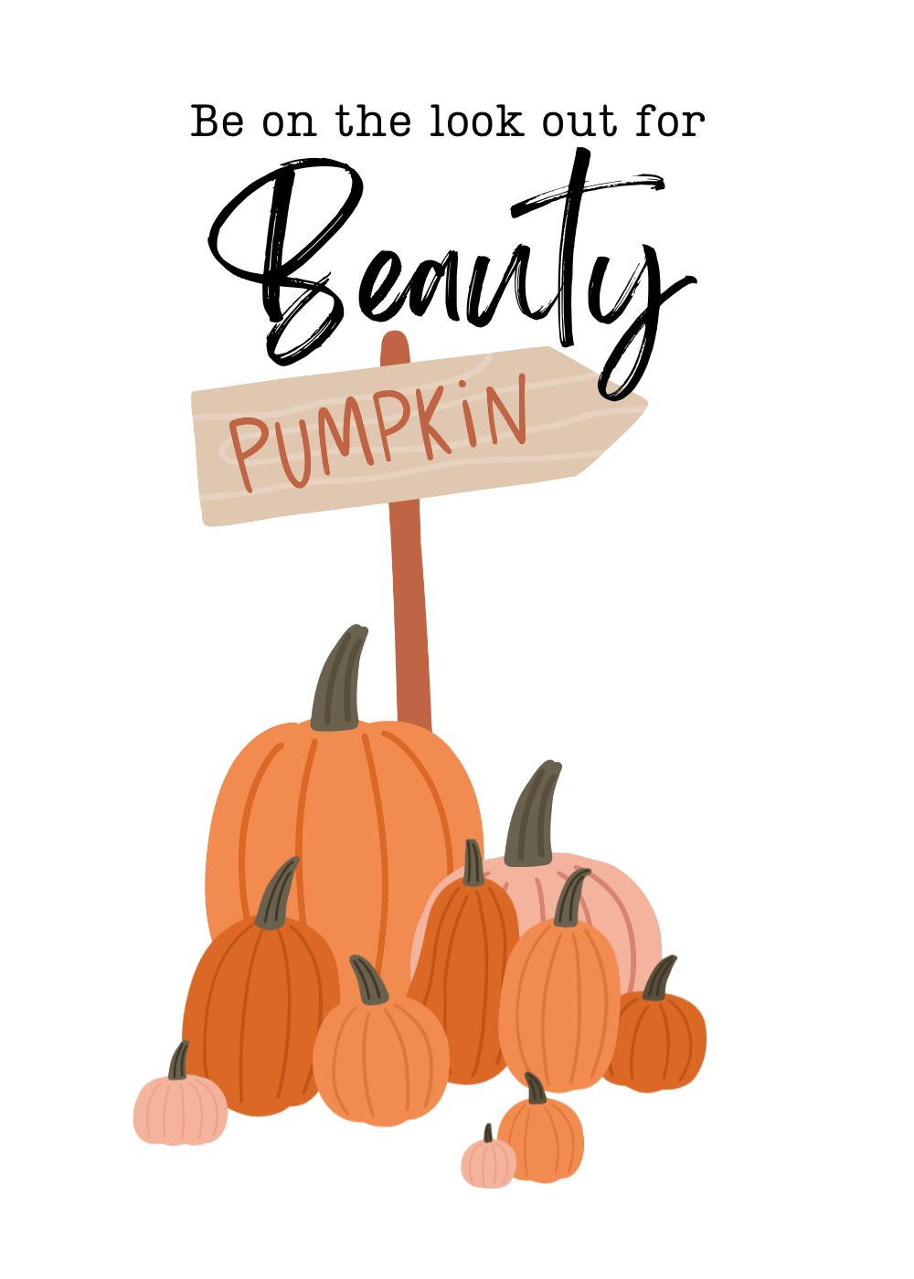 Pumpkin Patch 6