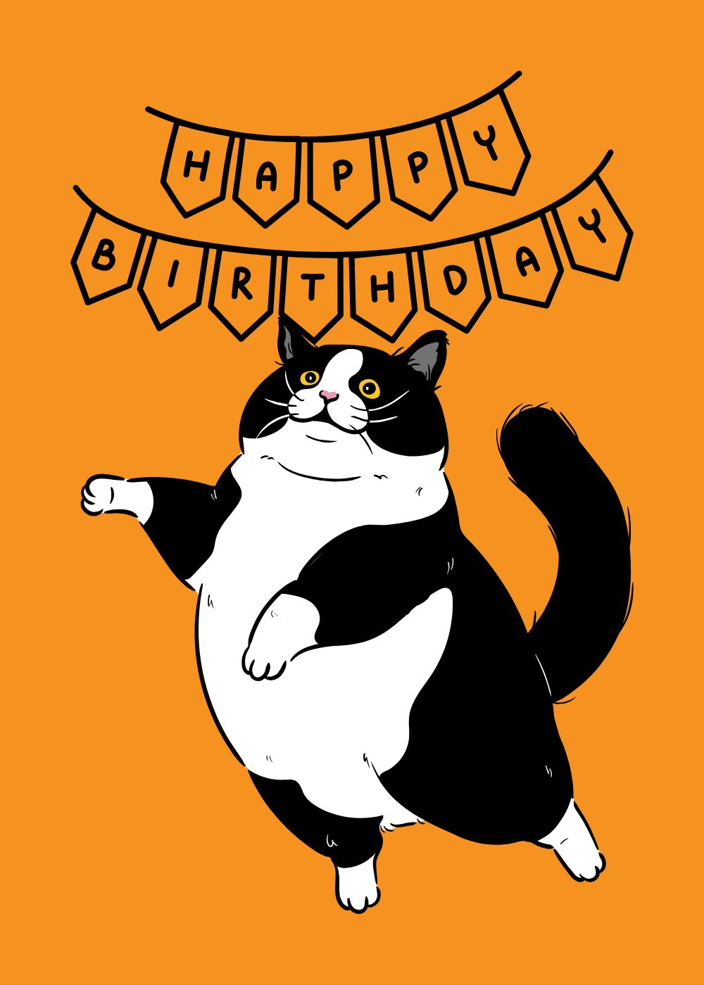 Meow Birthday 11