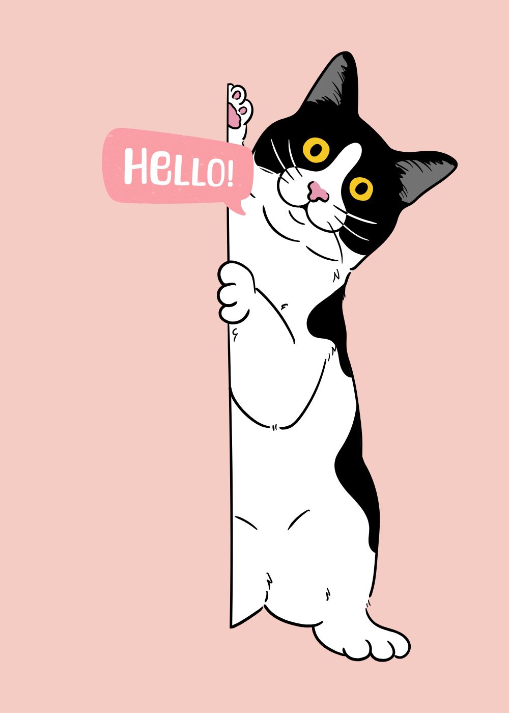 Meow Birthday 7