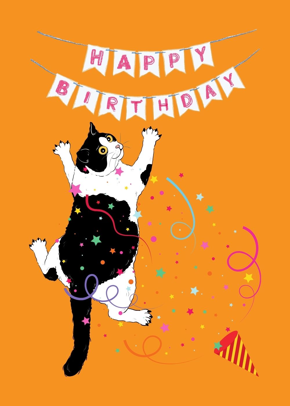 Meow Birthday 8