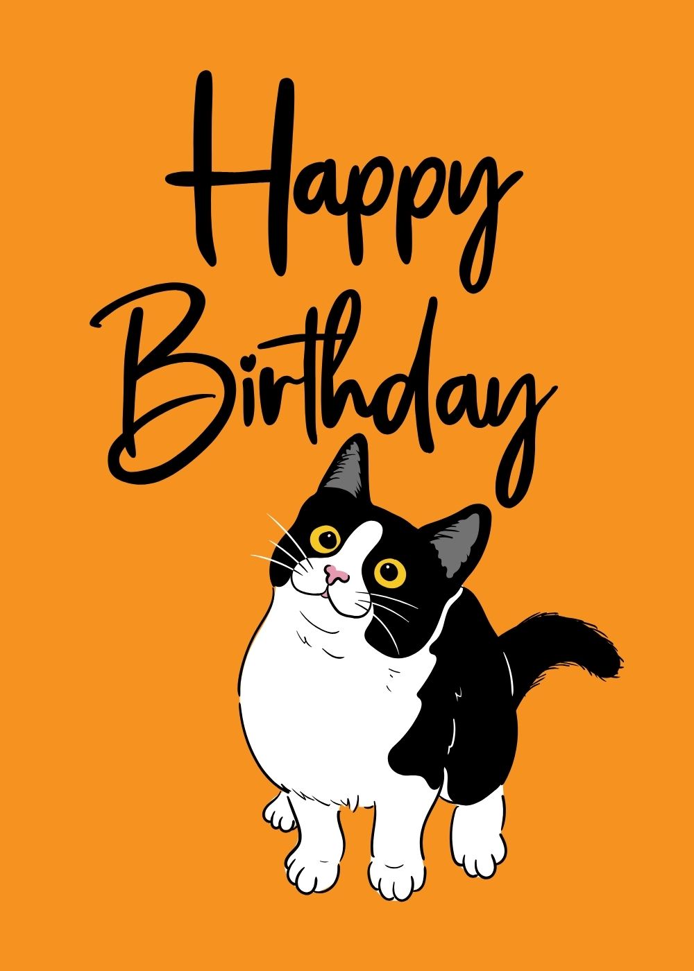 its-your-meowy-birthday-3