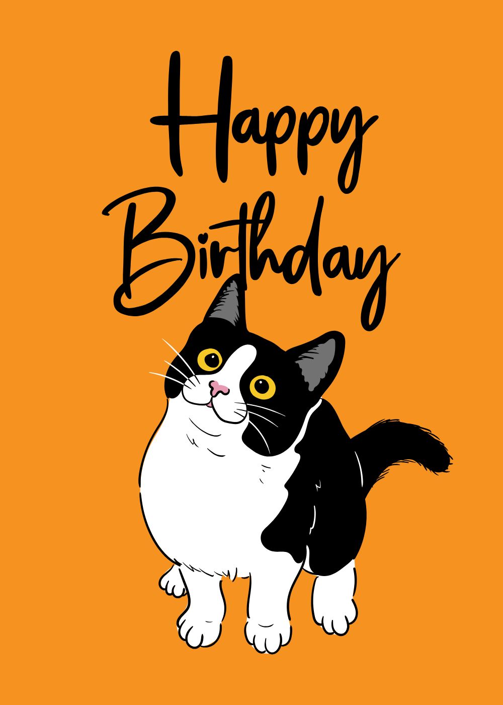 meowy-birthday-4