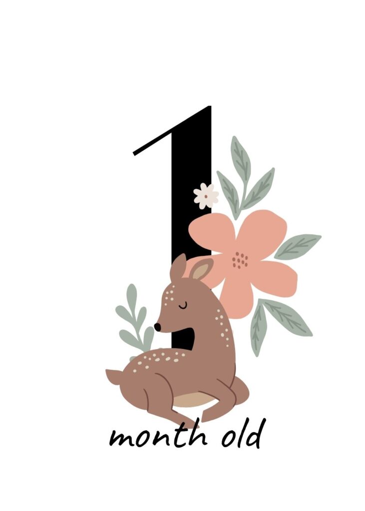 Baby Months