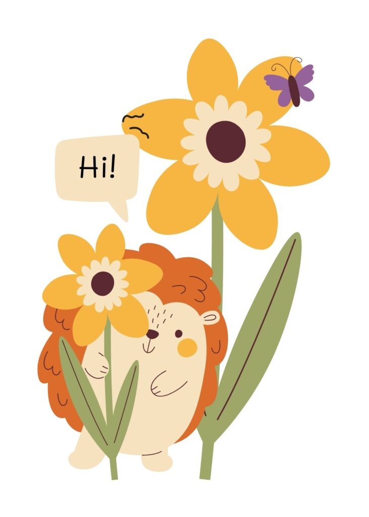 Hedgehog Hello