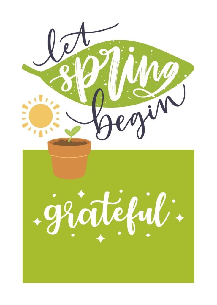 Let Spring Begin