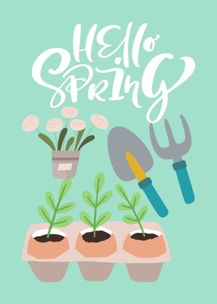 Let's Grow Together