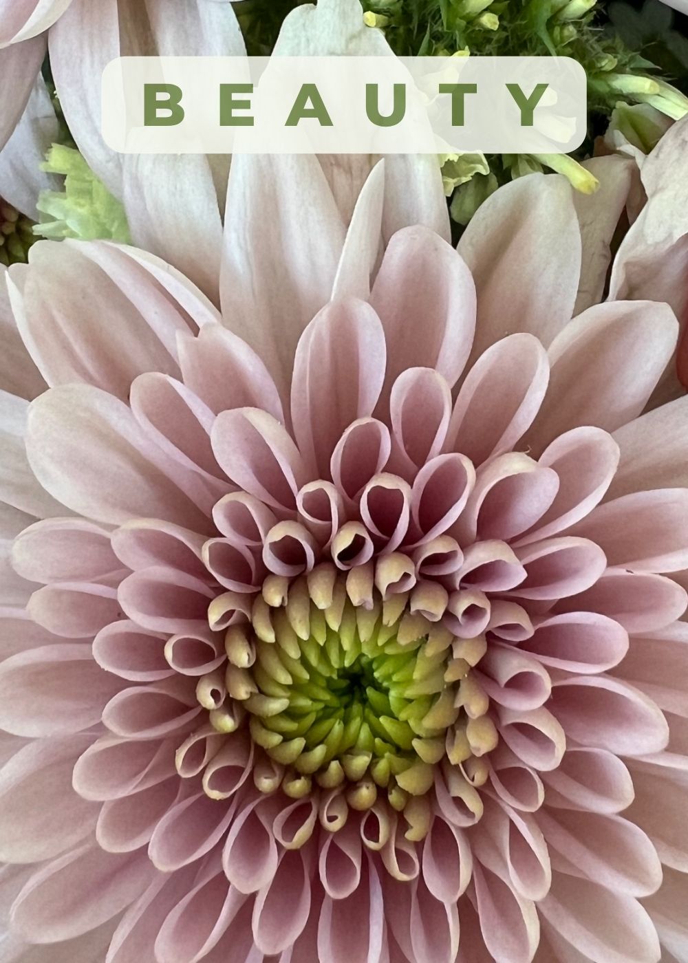 4-spring-flower-love