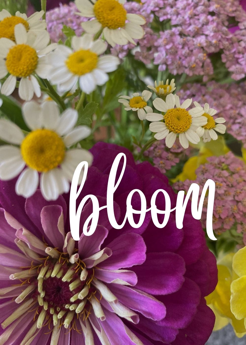 7-spring-flower-love