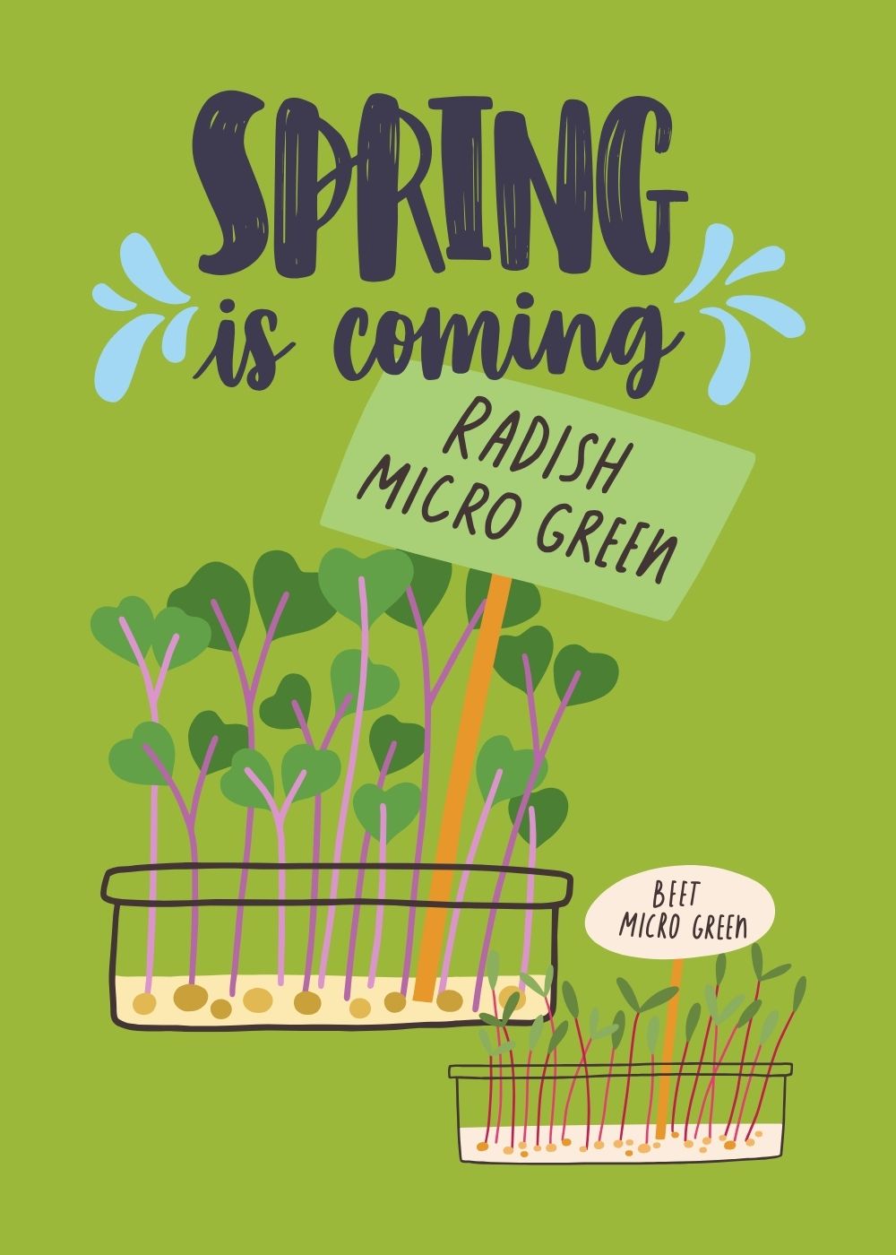 7-spring-spring-happy